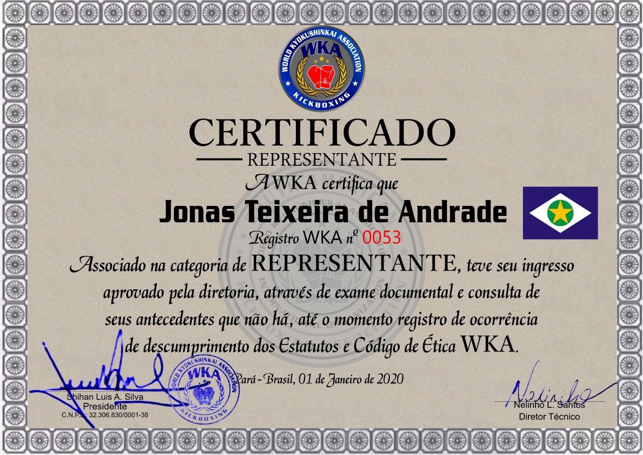 Certificado de Representatividade da WKA